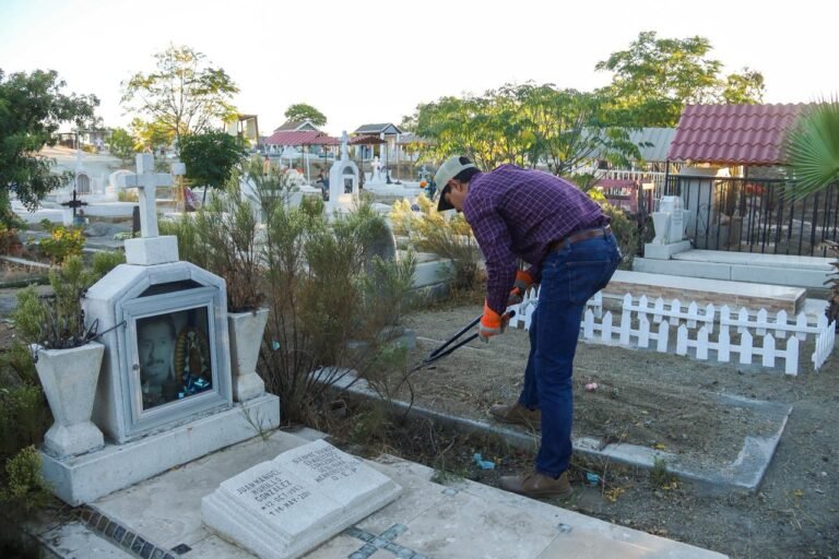 WhatsApp Image 2025-10-29 at 10.48.46 (2)