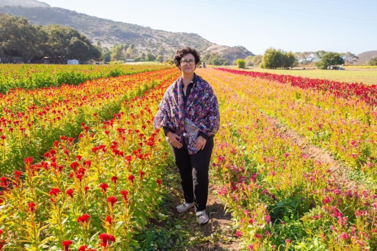 WhatsApp Image 2025-10-29 at 13.57.37