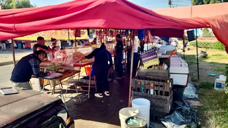 WhatsApp Image 2025-10-29 at 16.26.25