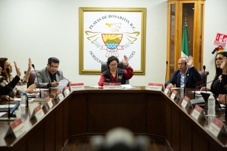 WhatsApp Image 2025-10-30 at 19.36.14