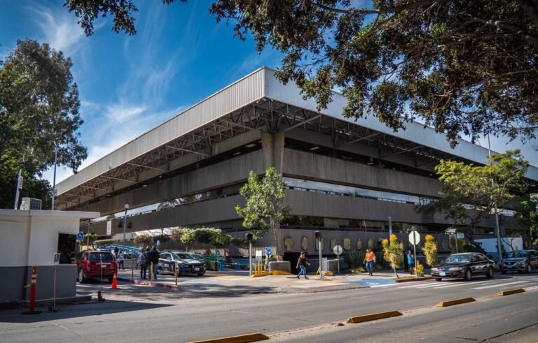 WhatsApp Image 2025-10-31 at 14.58.35 (1)