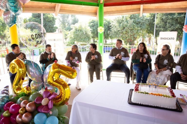 WhatsApp Image 2025-10-31 at 15.39.38