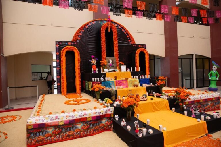 WhatsApp Image 2025-10-31 at 15.40.15 (1)