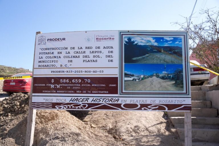 WhatsApp Image 2025-11-01 at 13.11.31