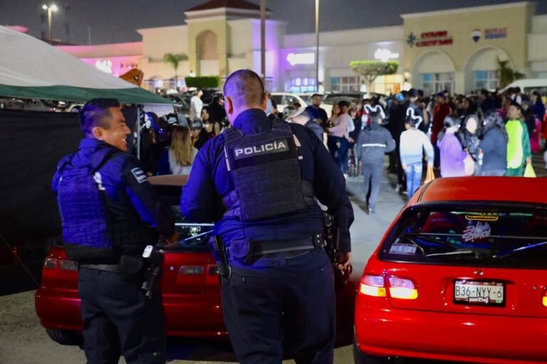 WhatsApp Image 2025-11-01 at 17.57.37