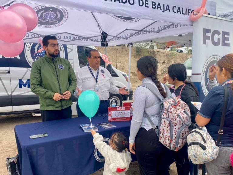 WhatsApp Image 2025-11-02 at 12.05.31