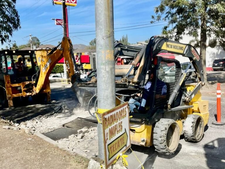 WhatsApp Image 2025-11-03 at 14.26.49 (1)