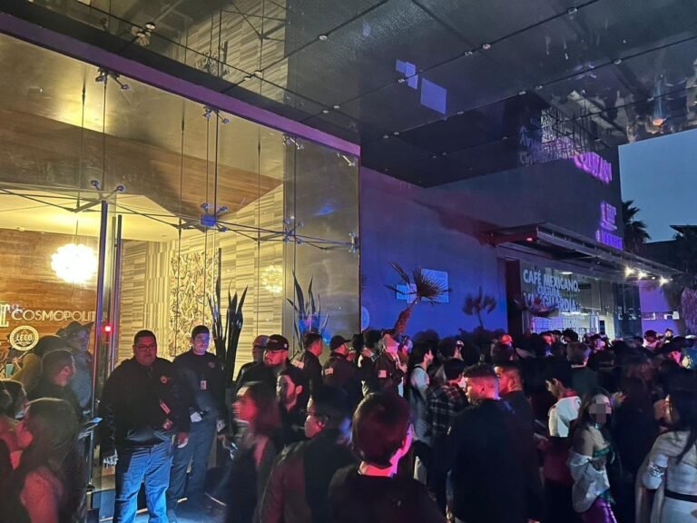 WhatsApp Image 2025-11-04 at 10.42.59 (2)