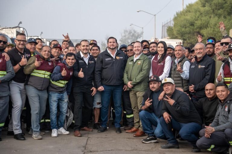 WhatsApp Image 2025-11-04 at 16.19.44