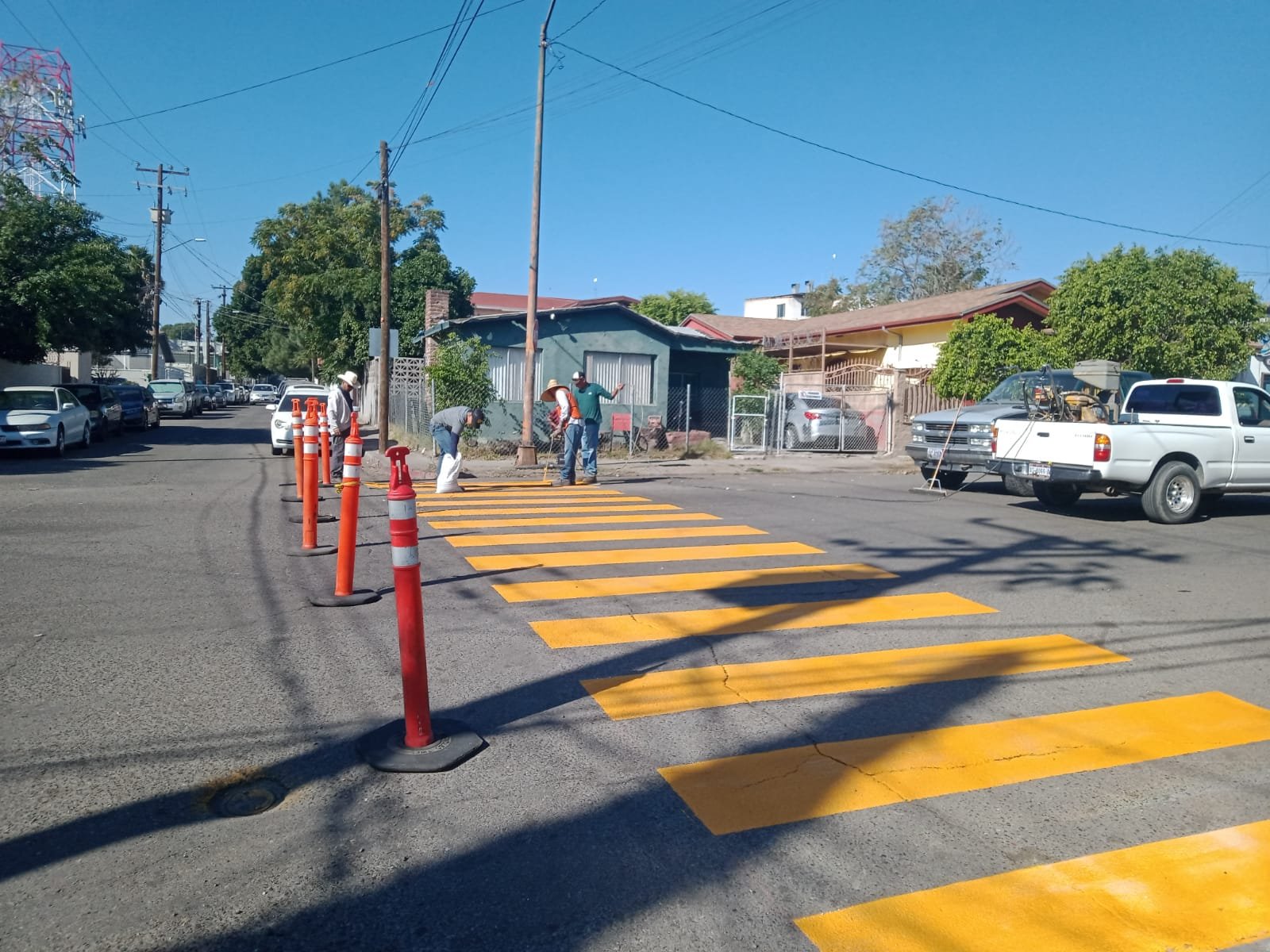 WhatsApp Image 2025-11-10 at 11.39.39