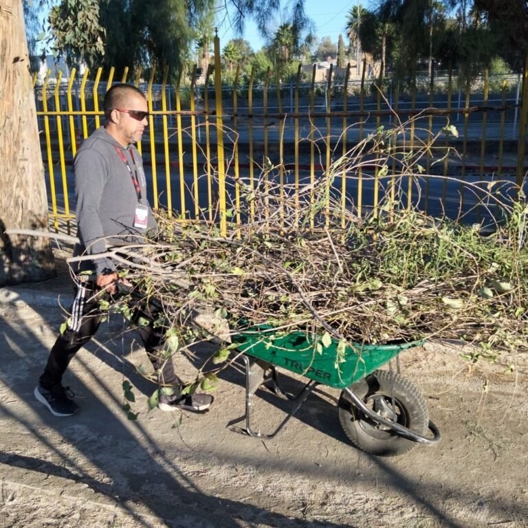 WhatsApp Image 2025-11-12 at 12.20.26 (3)