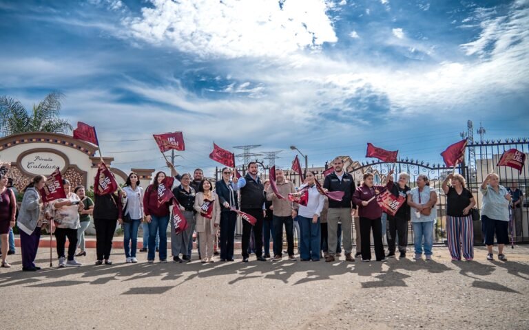 WhatsApp Image 2025-11-12 at 12.21.07