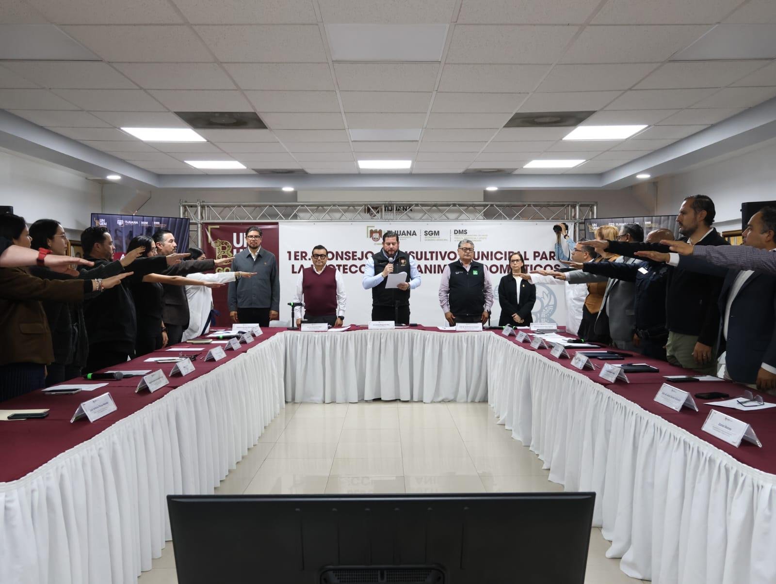 WhatsApp Image 2025-11-12 at 17.44.20