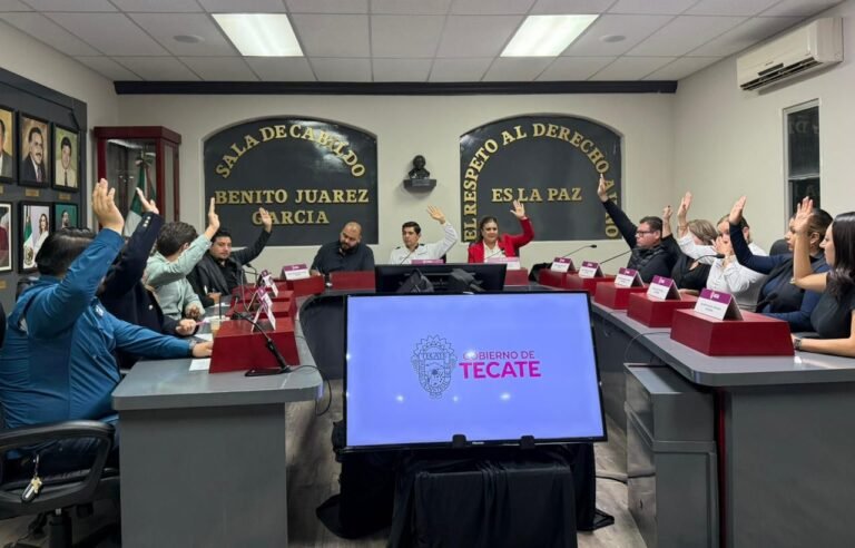 WhatsApp Image 2025-11-12 at 21.18.56