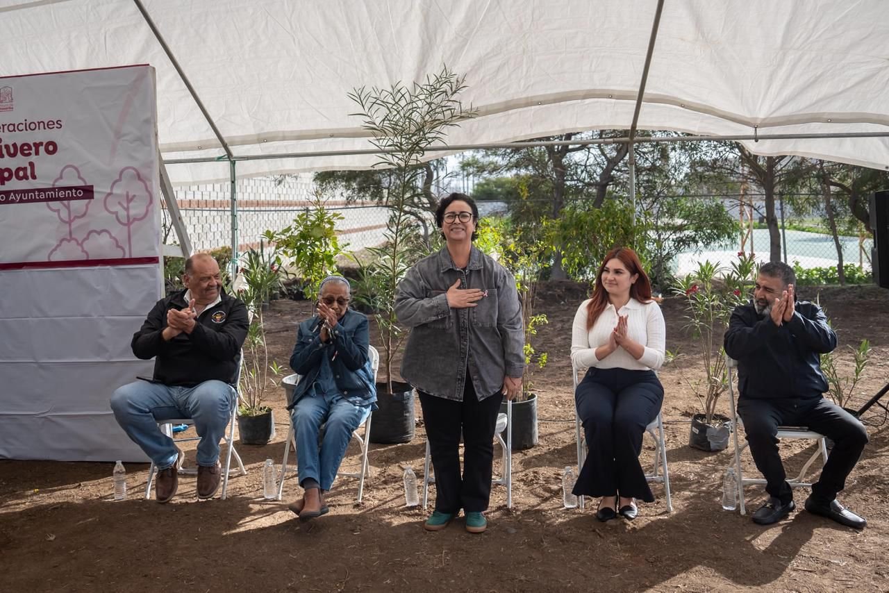 WhatsApp Image 2025-11-14 at 15.28.40