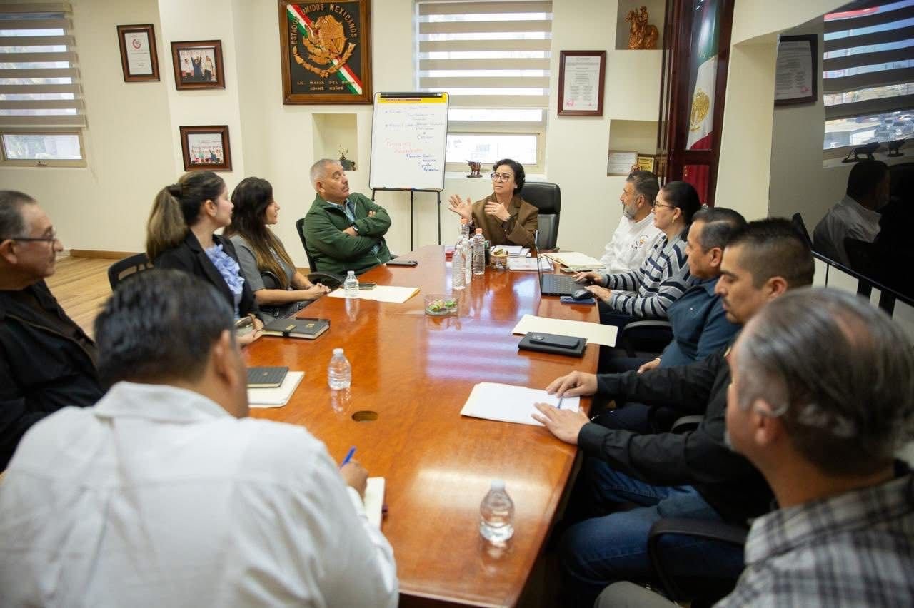 WhatsApp Image 2025-11-14 at 17.38.26