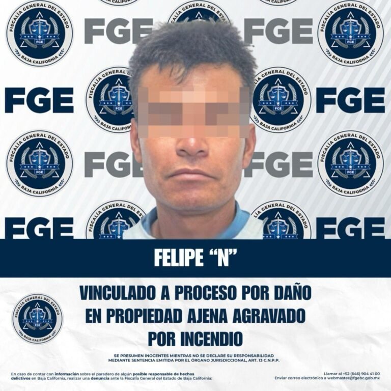 WhatsApp Image 2025-11-15 at 13.54.52