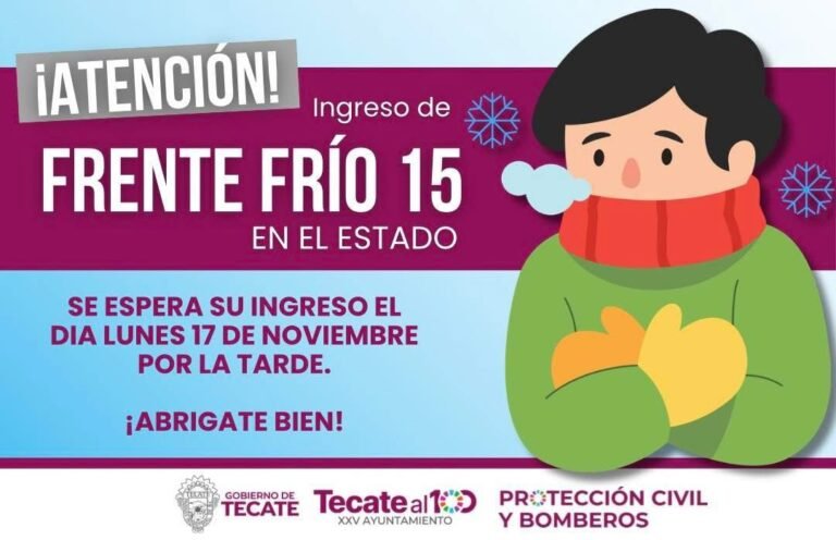 WhatsApp Image 2025-11-17 at 08.37.12