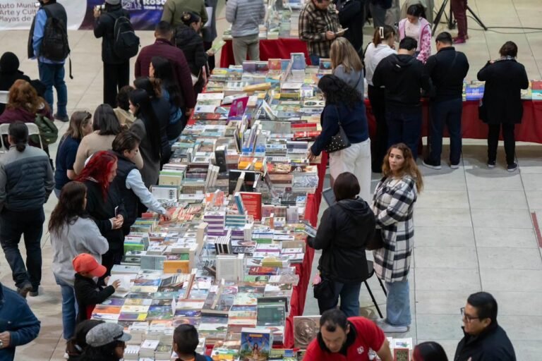 WhatsApp Image 2025-11-18 at 20.11.15