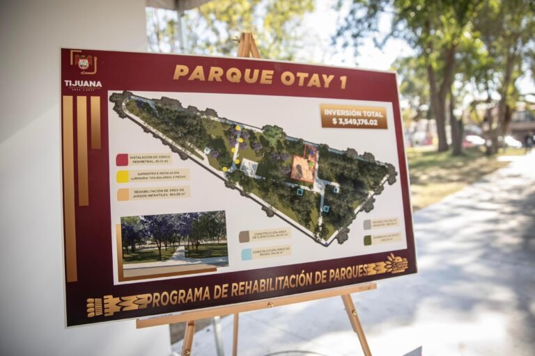 WhatsApp Image 2025-11-19 at 12.26.00 (1)