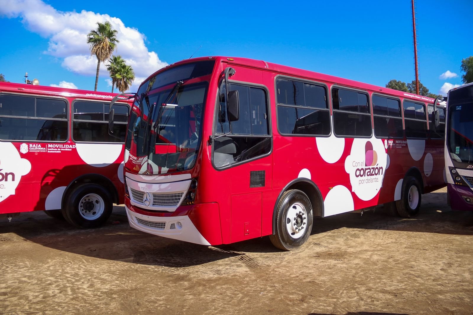 WhatsApp Image 2025-11-19 at 20.05.39 (1)