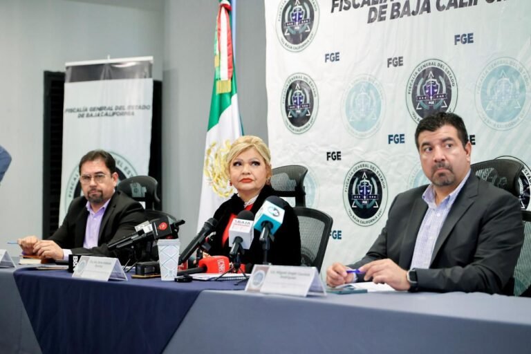 WhatsApp Image 2025-11-19 at 20.06.08