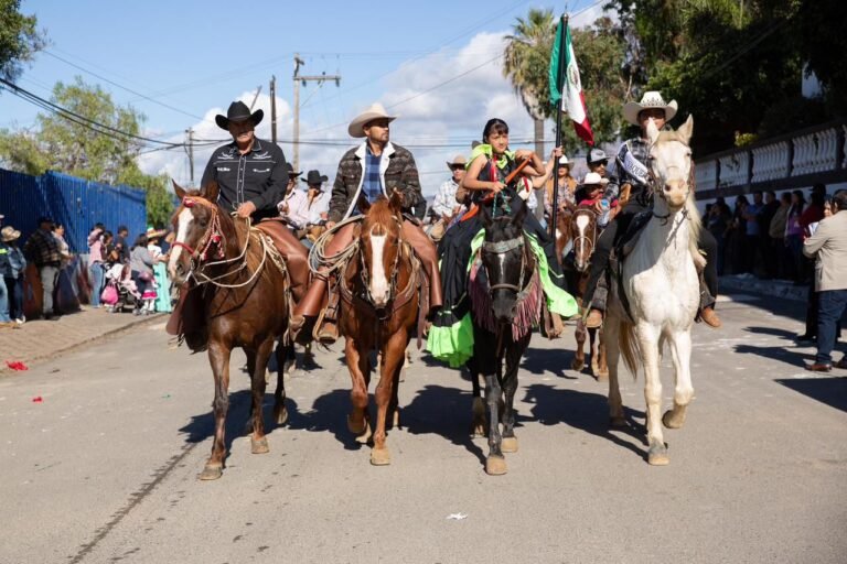 WhatsApp Image 2025-11-20 at 15.01.35