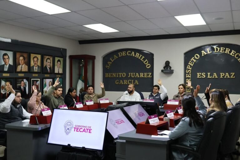 WhatsApp Image 2025-11-20 at 15.16.41