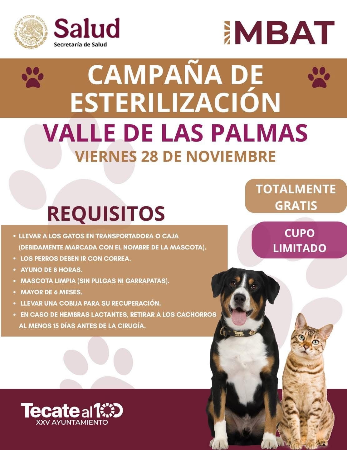 WhatsApp Image 2025-11-20 at 20.56.28