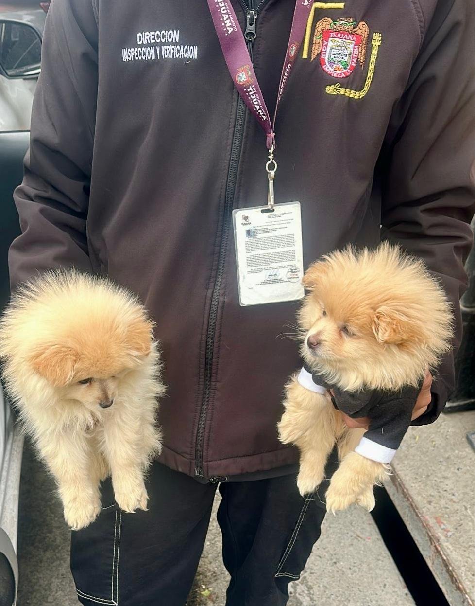 WhatsApp Image 2025-11-23 at 09.55.31