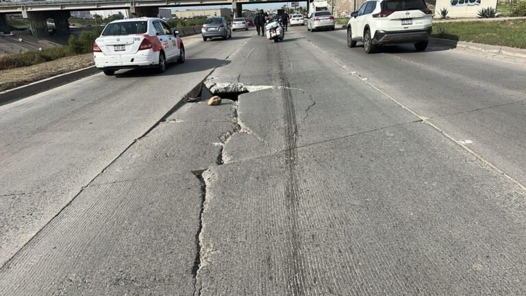 WhatsApp Image 2025-11-25 at 13.09.44