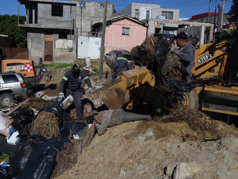 WhatsApp Image 2025-11-25 at 16.07.46