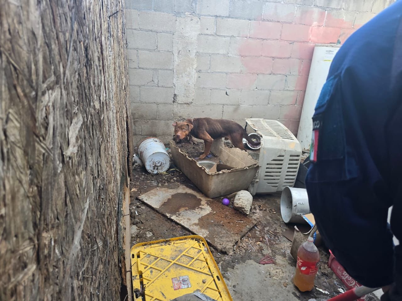 WhatsApp Image 2025-11-26 at 16.59.44