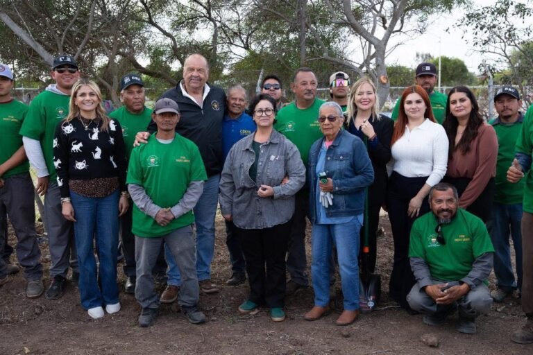 WhatsApp Image 2025-11-26 at 17.04.40