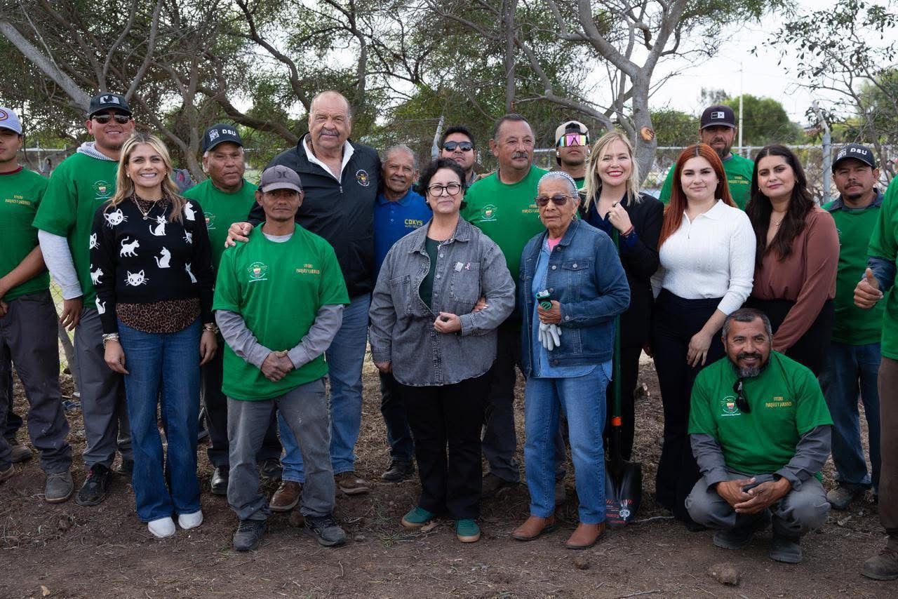 WhatsApp Image 2025-11-26 at 17.04.40