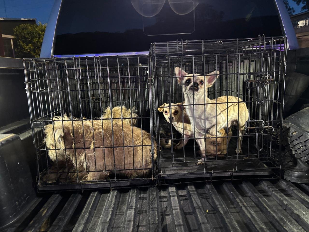 WhatsApp Image 2025-11-28 at 09.23.15