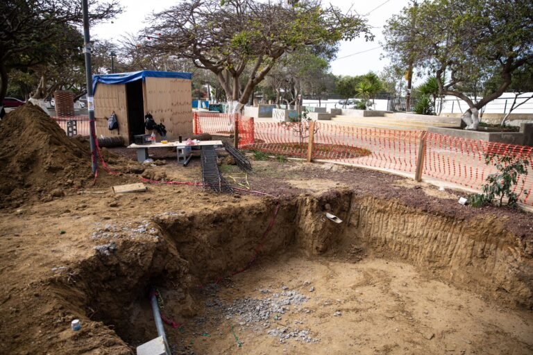 WhatsApp Image 2025-11-28 at 14.54.11