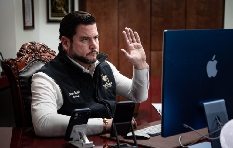 WhatsApp Image 2025-11-29 at 11.40.27