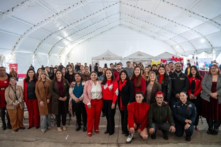 WhatsApp Image 2025-12-01 at 14.49.34