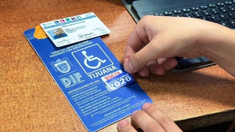 WhatsApp Image 2025-12-01 at 14.49.57