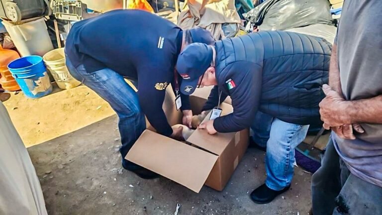 WhatsApp Image 2025-12-01 at 18.02.29