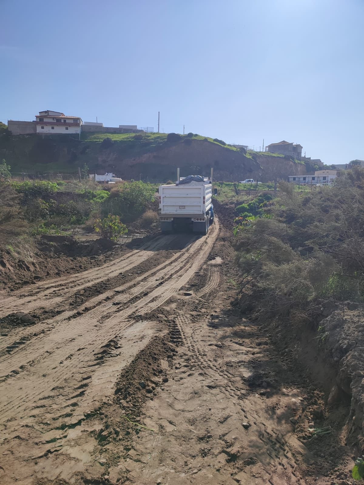 WhatsApp Image 2025-12-03 at 15.58.45 (1)