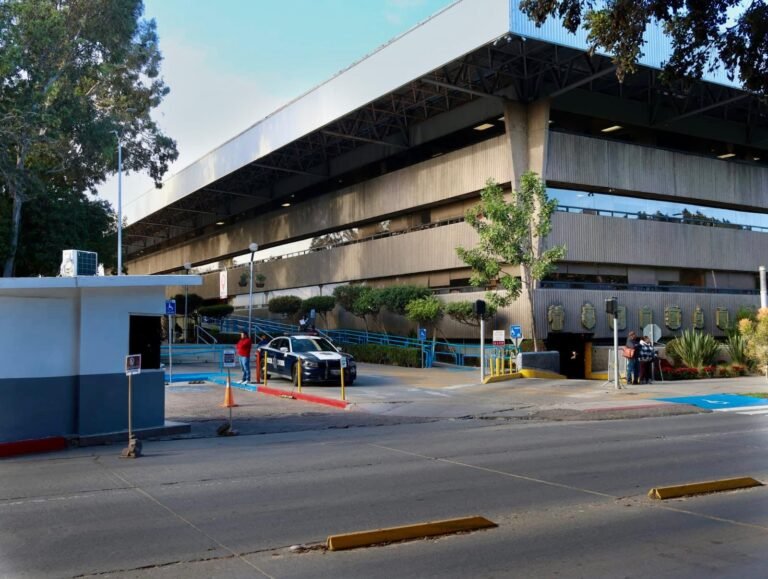 WhatsApp Image 2025-12-04 at 17.50.51