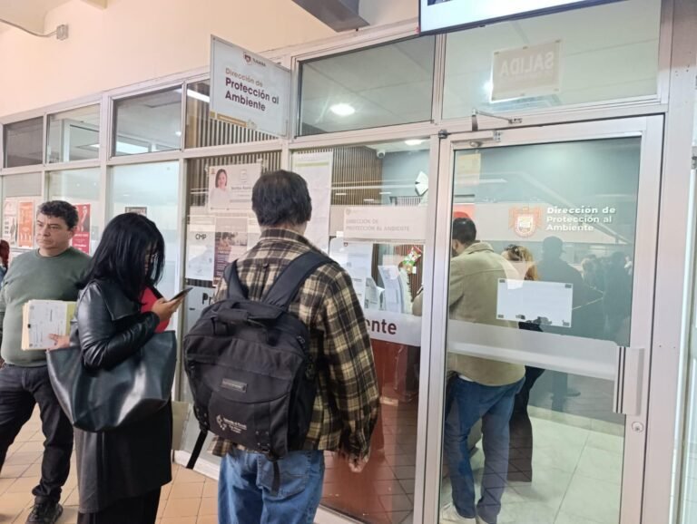 WhatsApp Image 2025-12-05 at 13.22.12