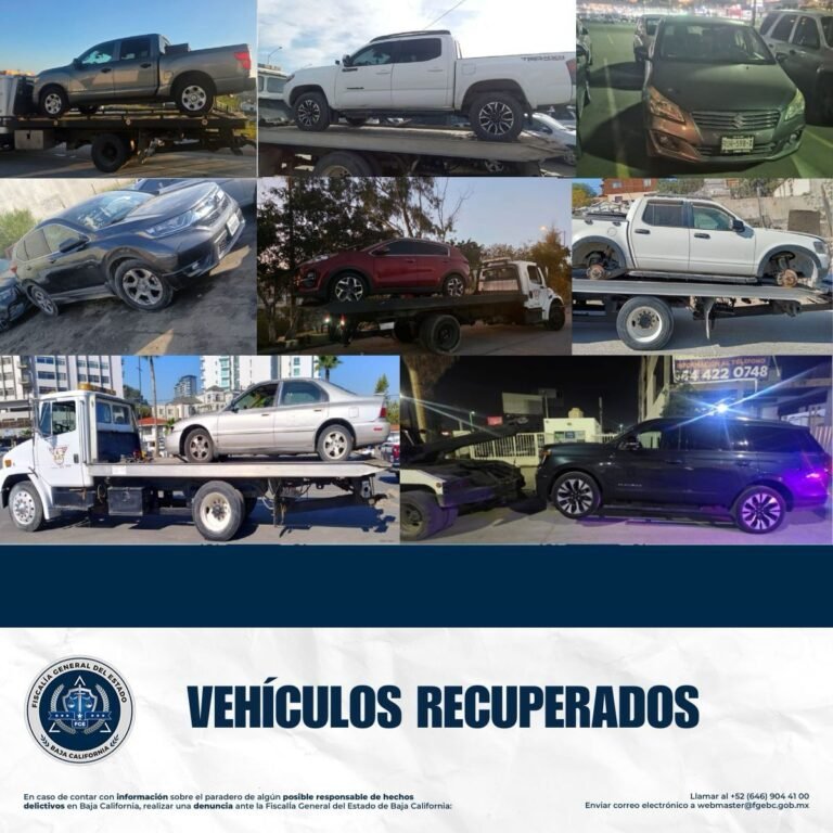 WhatsApp Image 2025-12-07 at 15.19.09