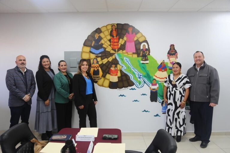 WhatsApp Image 2025-12-10 at 13.55.32