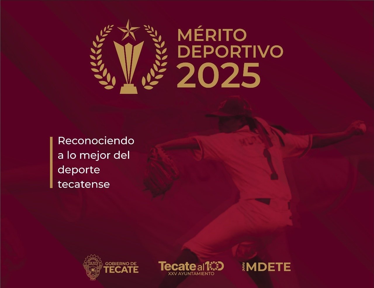 WhatsApp Image 2025-12-10 at 15.25.24