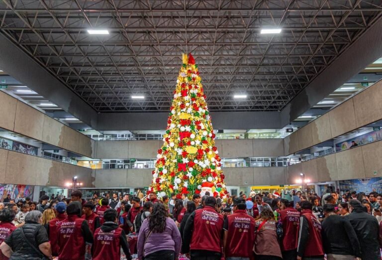 WhatsApp Image 2025-12-10 at 22.00.45 (1)