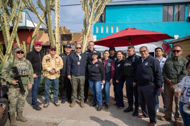 WhatsApp Image 2025-12-13 at 15.22.07