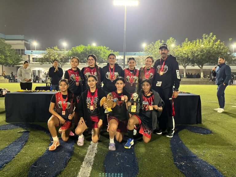 WhatsApp Image 2025-12-15 at 13.10.24